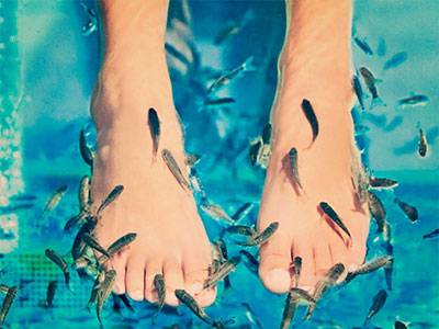 Hudbehandling med doktorfisk