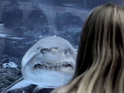 Oplev Kattegatcentret efter lukketid