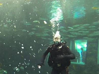 Prøvedyk i Kattegatcentret